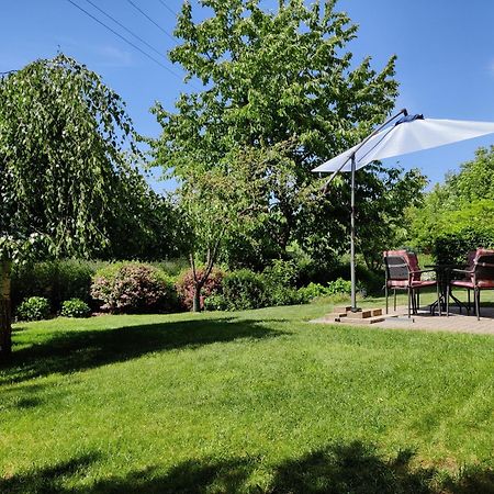 Apartman Pod Lipou - Samostatny Objekt Яромерж Экстерьер фото